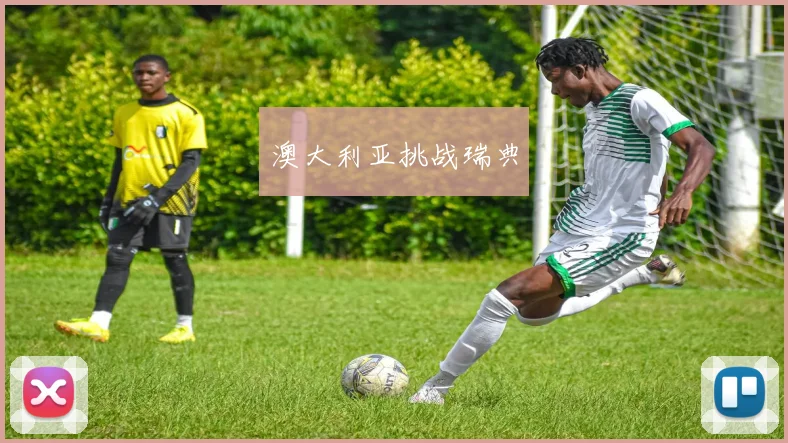 澳大利亚挑战瑞典