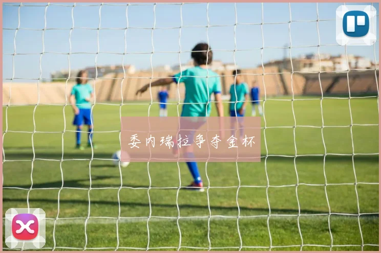 委内瑞拉争夺金杯