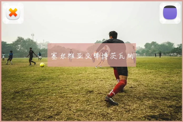 塞尔维亚交锋博茨瓦纳