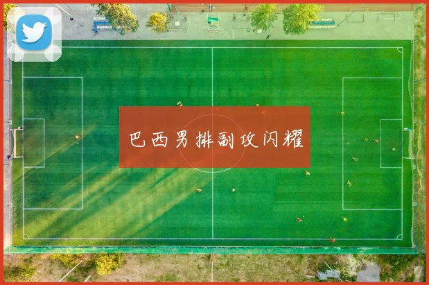 巴西男排副攻闪耀