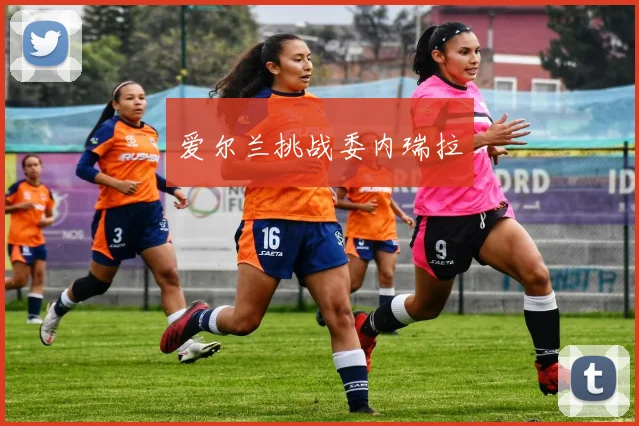 爱尔兰挑战委内瑞拉