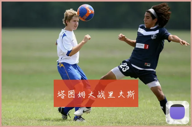 塔图姆大战里夫斯