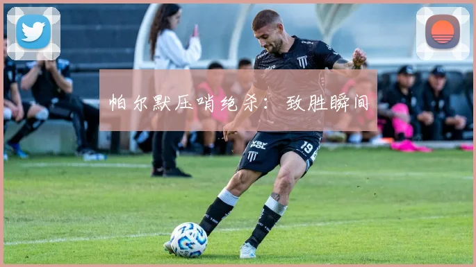 帕尔默压哨绝杀：致胜瞬间