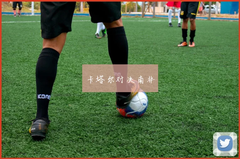 卡塔尔对决南非